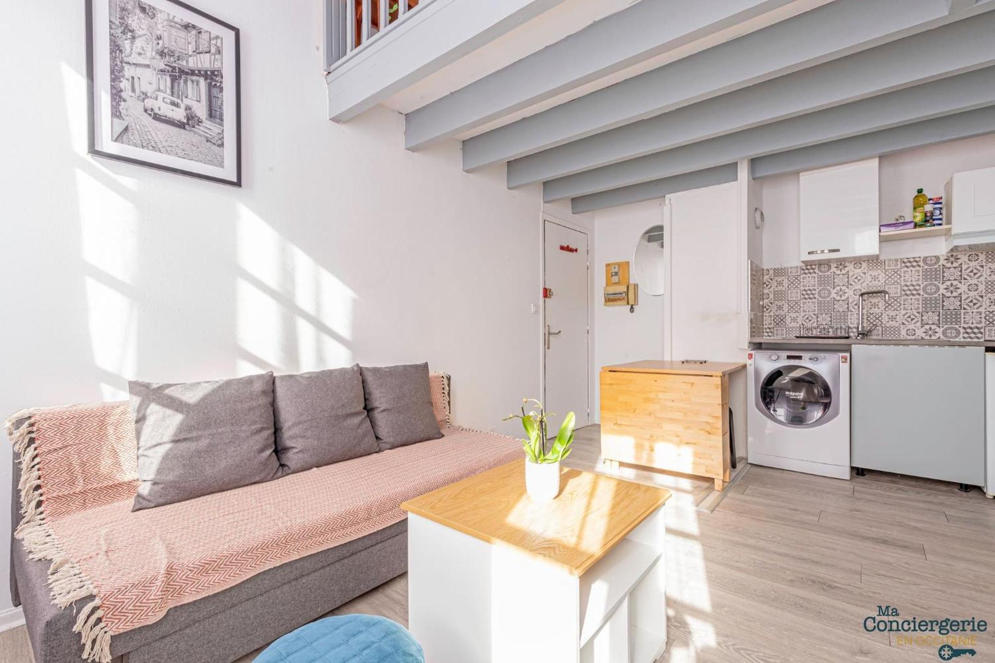 Duplex Champetre : Gare, Marche, Hypercentre Apartment Toulouse Exterior foto