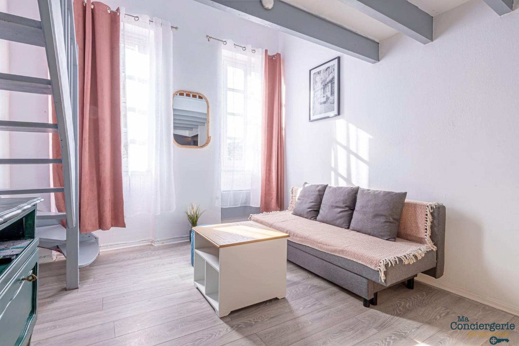 Duplex Champetre : Gare, Marche, Hypercentre Apartment Toulouse Exterior foto