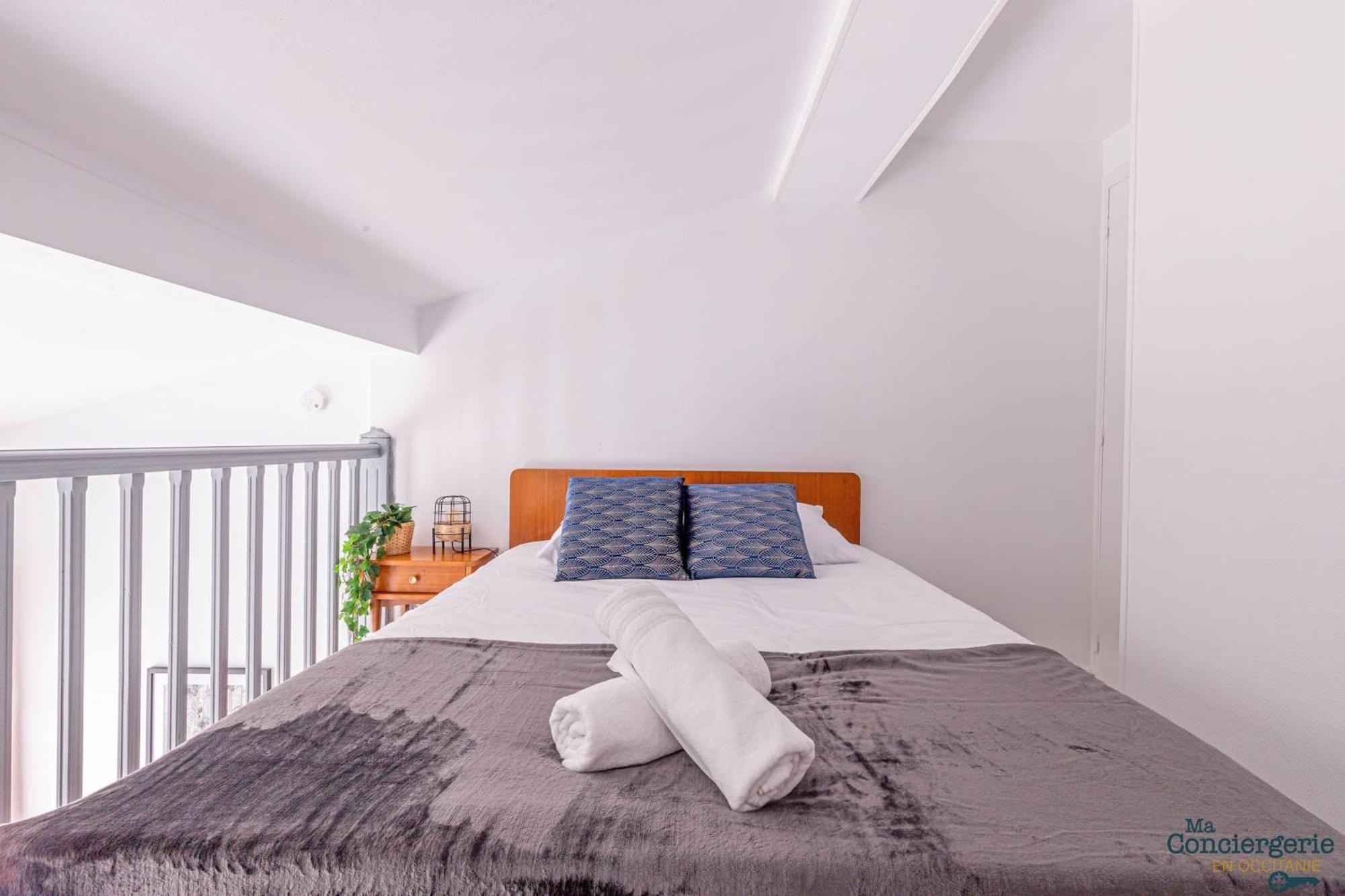 Duplex Champetre : Gare, Marche, Hypercentre Apartment Toulouse Exterior foto